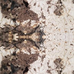 Đá Granite Trắng Patagonia