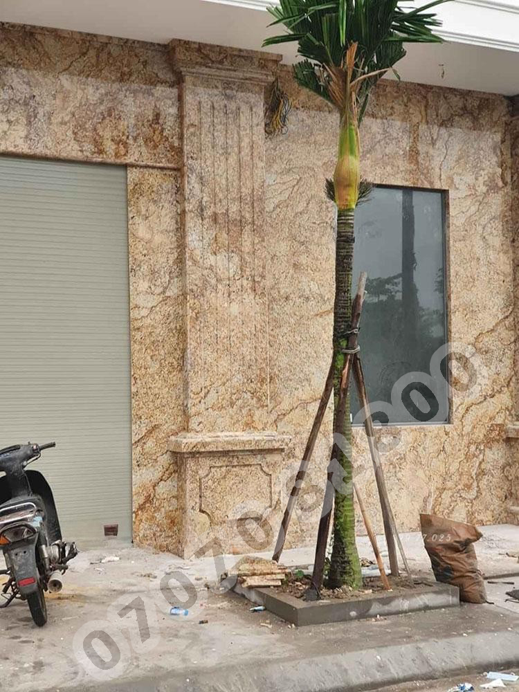 Đá Granite Vàng Brazil Solarius - Ảnh 30