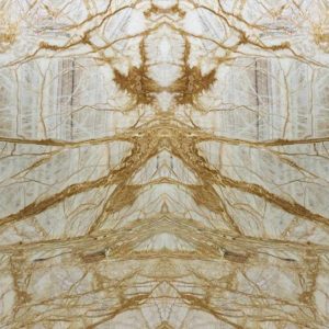 Đá Xuyên Sáng Vàng Vân Rễ Cây – Golden Onyx
